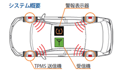 TPMSȪ